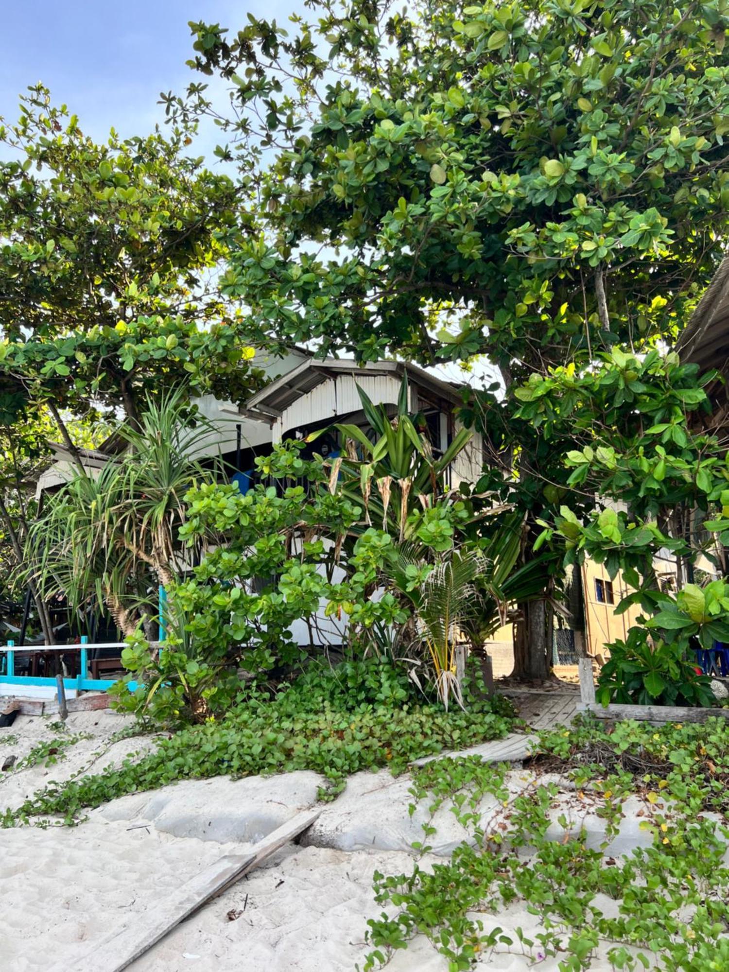 Ohlala Guesthouse Wyspa Perhentian Zewnętrze zdjęcie