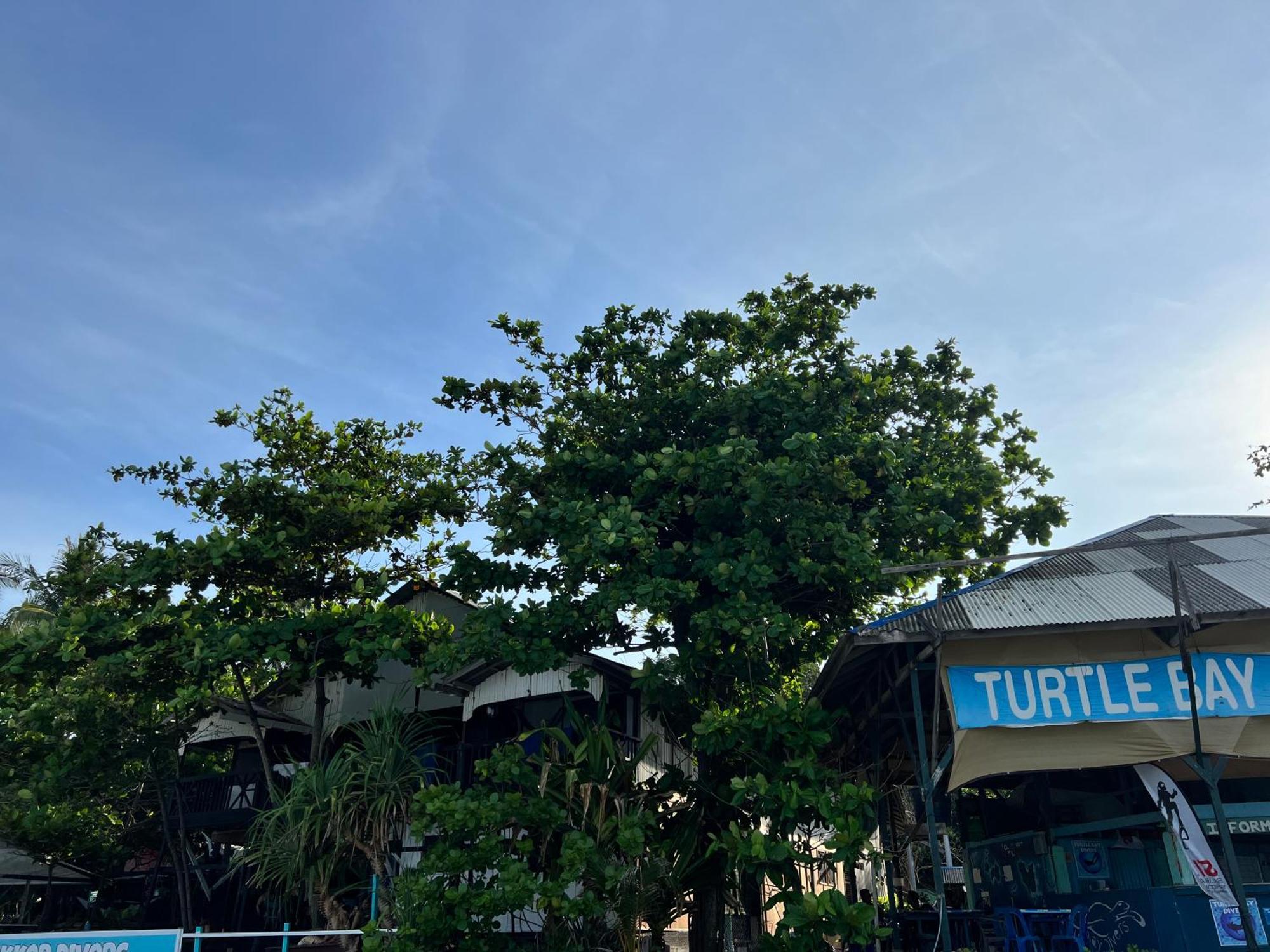 Ohlala Guesthouse Wyspa Perhentian Zewnętrze zdjęcie